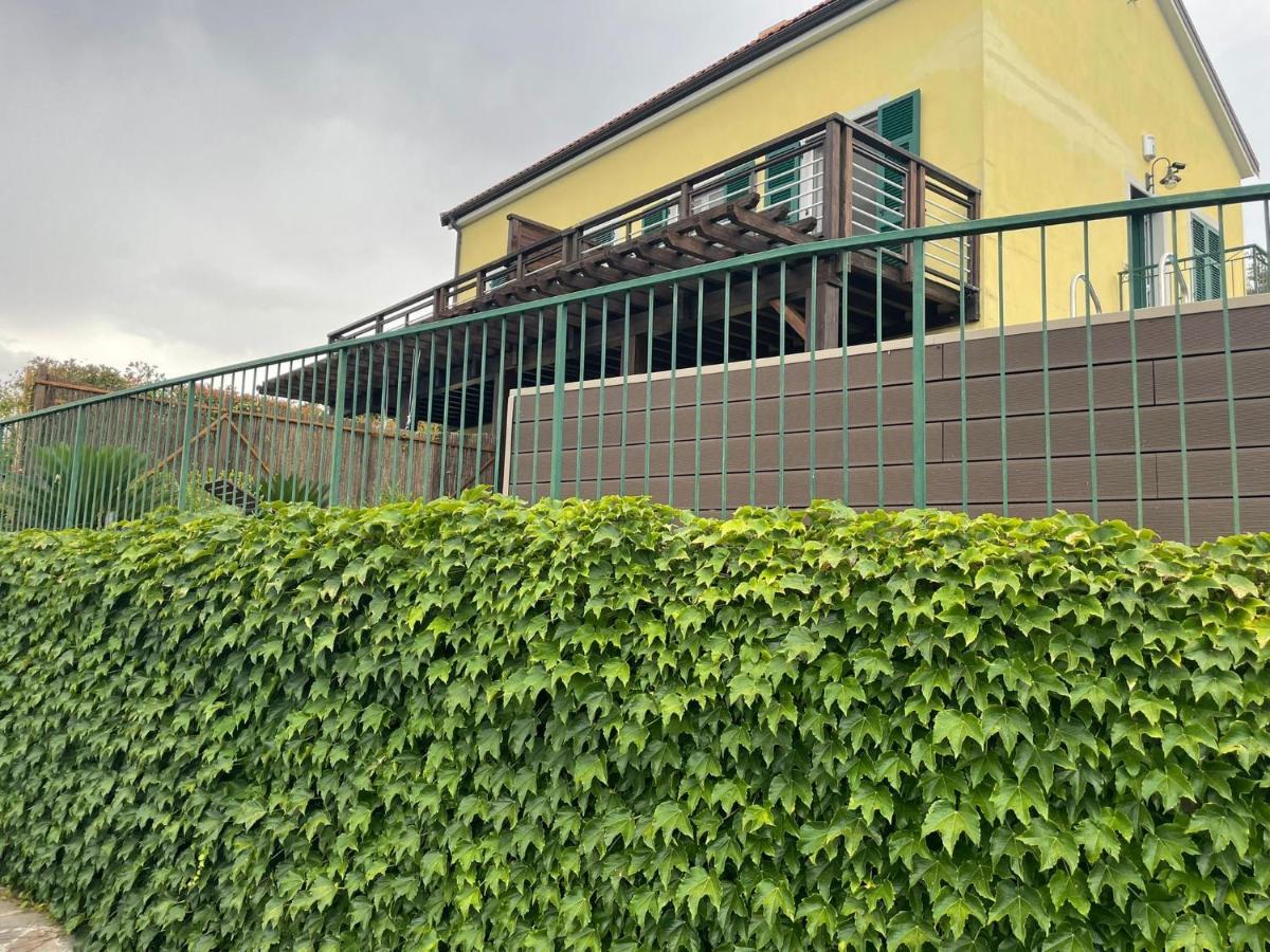 Corner Of Paradise מונליה מראה חיצוני תמונה