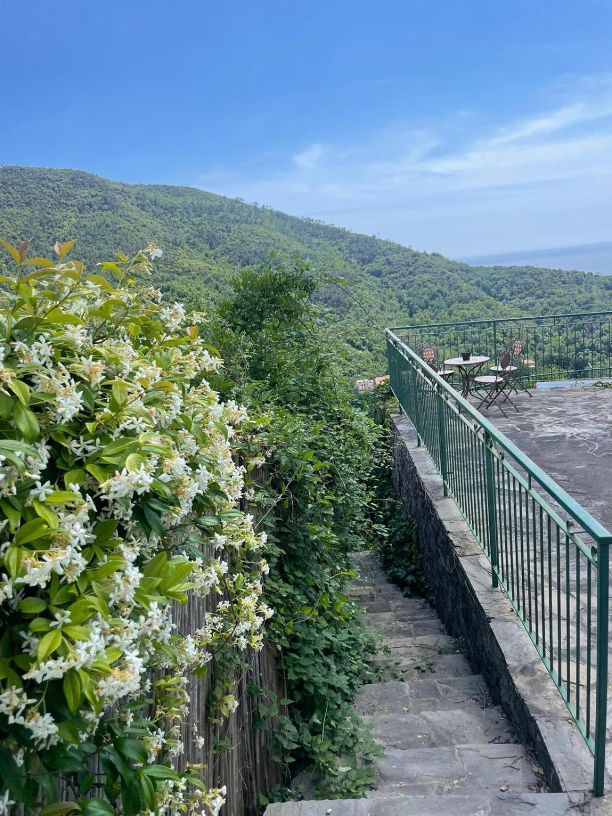 Corner Of Paradise מונליה מראה חיצוני תמונה